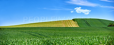 Buy stock photo Farmland in springtime - lots of copy space