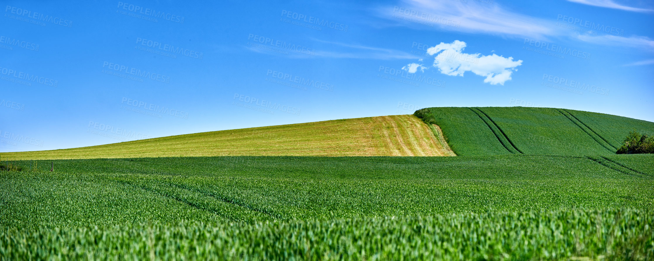 Buy stock photo Farmland in springtime - lots of copy space