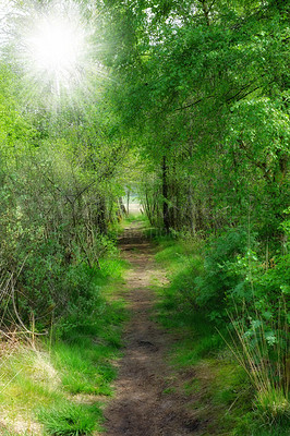 Buy stock photo Scenic pathway leading to a hidden location in nature in a Danish forest in springtime. Secluded secret path looking like a fairy tale in a forest for adventure and hiking. Empty footpath in a woods
