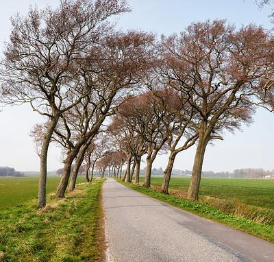 Buy stock photo Landscape of an asphalt road with trees growing and following the wind direction in the countryside. Roadway leading to a rural environment with a lush meadow for traveling to a vacation destination