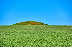 Ancient Viking burial mound