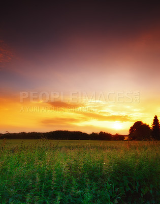 Buy stock photo Farmland ready for harvesting