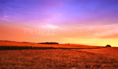 Buy stock photo Farmland ready for harvesting