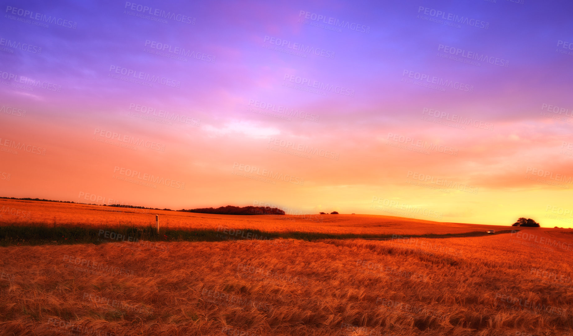 Buy stock photo Farmland ready for harvesting