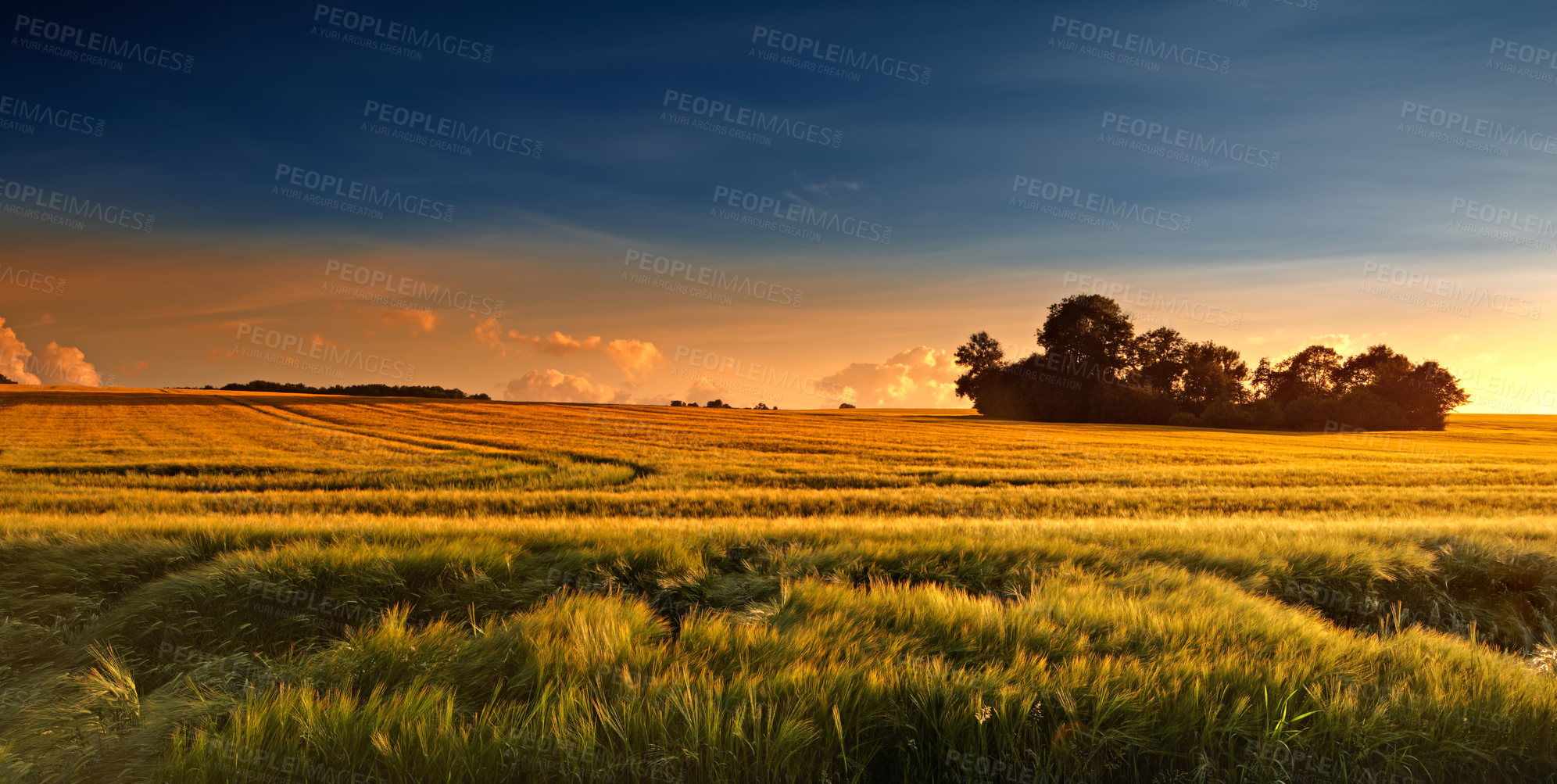 Buy stock photo Sunset in the countryside in late summer - lots of copyspace