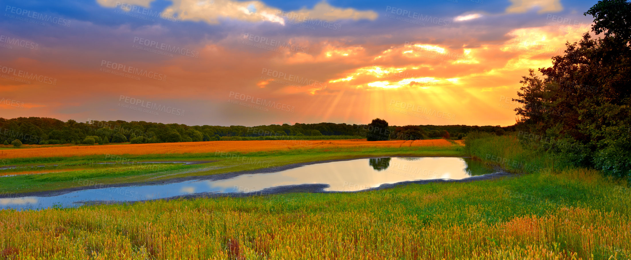 Buy stock photo A photo of sunset in the countryside, Denmark