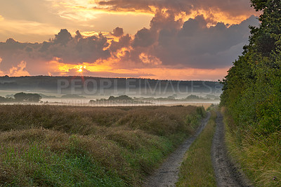 Buy stock photo Landscape view of a dirt road road in a countryside leading to a lush green forest and woods in Germany. Travel to remote fields and meadows. Quiet scenery with trees, bushes, shrubs, lawn and grass