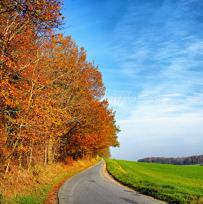 Buy stock photo An empty road surrounded by autumn trees with a blue sky and copy space. Landscape with a single countryside asphalt roadway for traveling along a beautiful scenic meadow or grassland in Germany