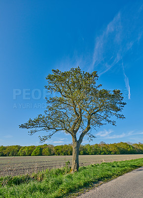 Buy stock photo A photo of the countryside in early springtime