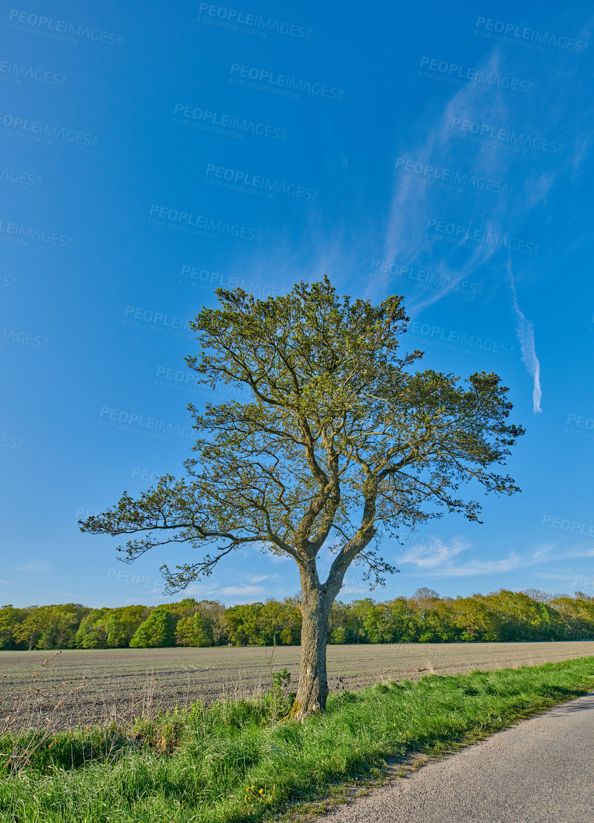 Buy stock photo A photo of the countryside in early springtime