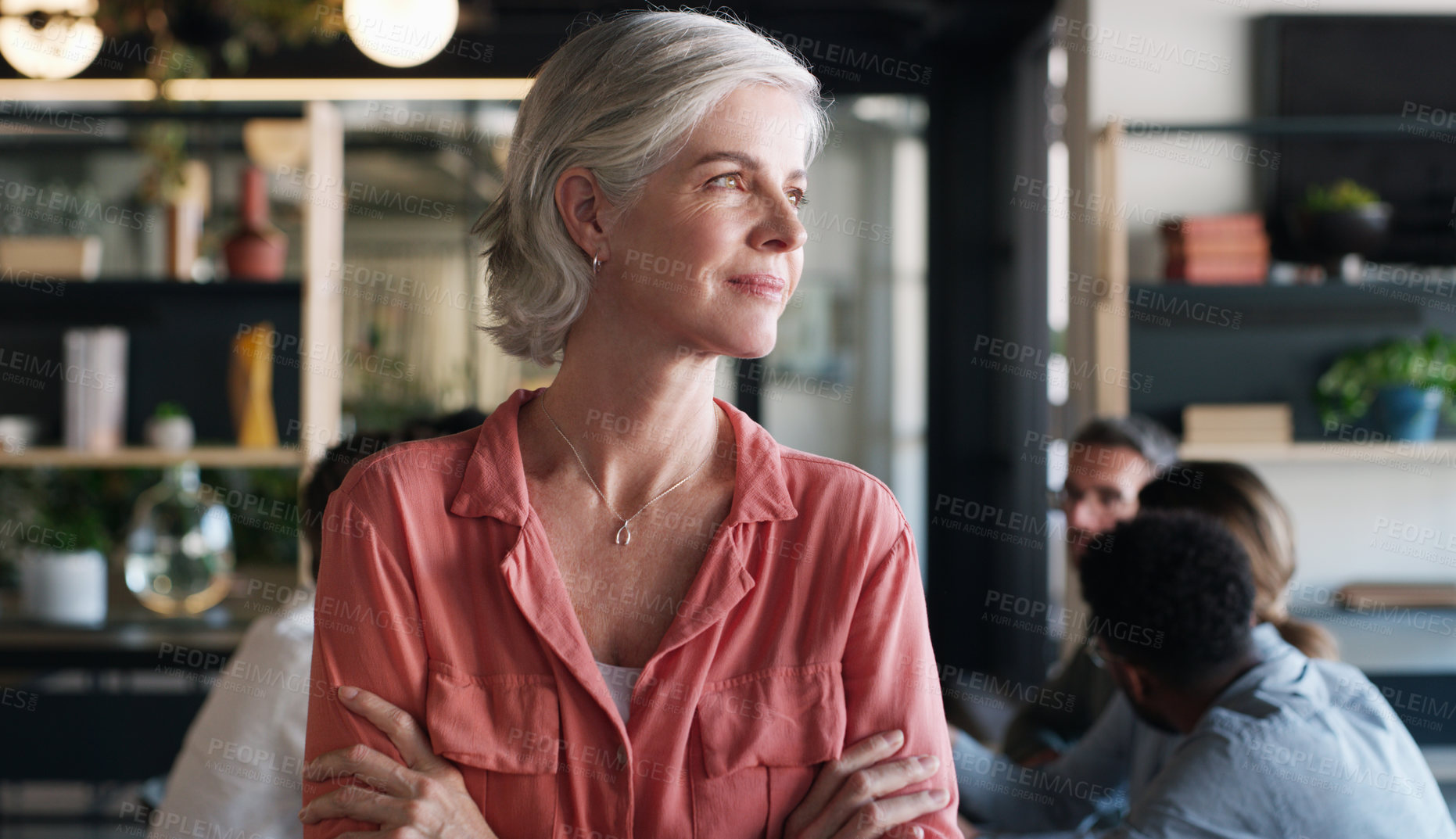 Buy stock photo Shot of a confident mature businesswoman in in the office boardroom with her colleagues in the background