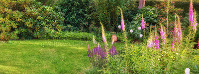 Buy stock photo A series of beautiful garden photos