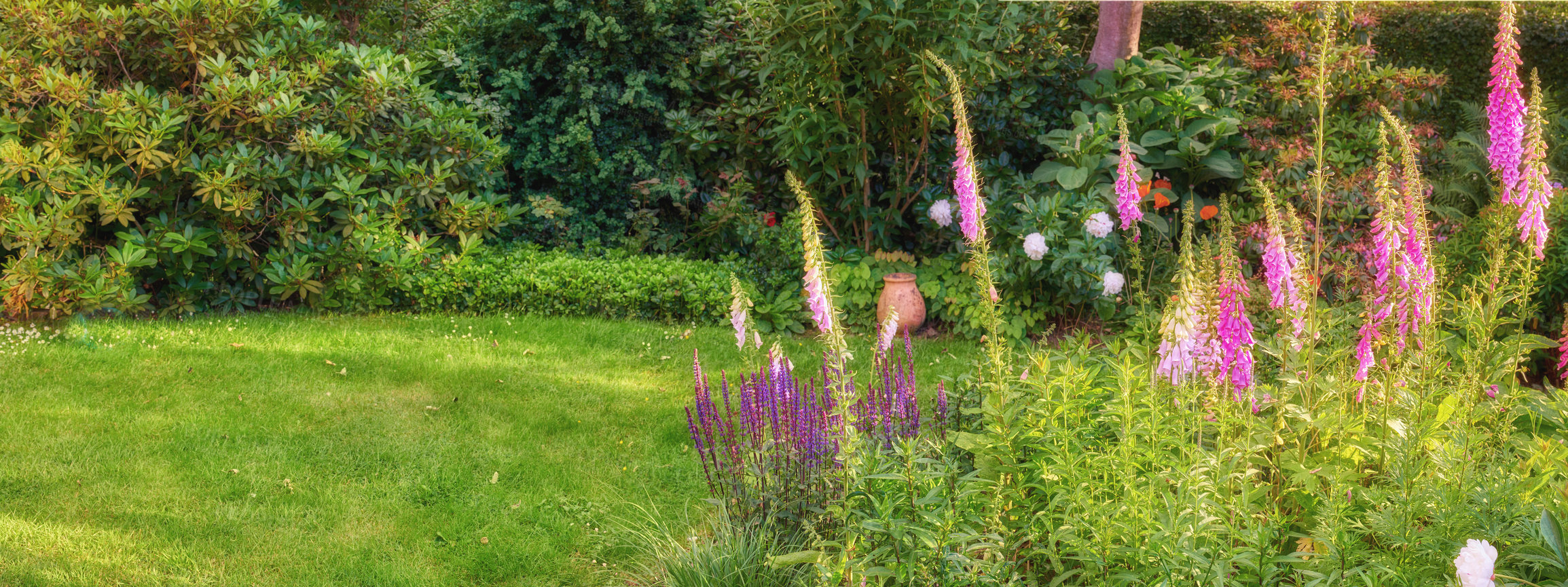 Buy stock photo A series of beautiful garden photos