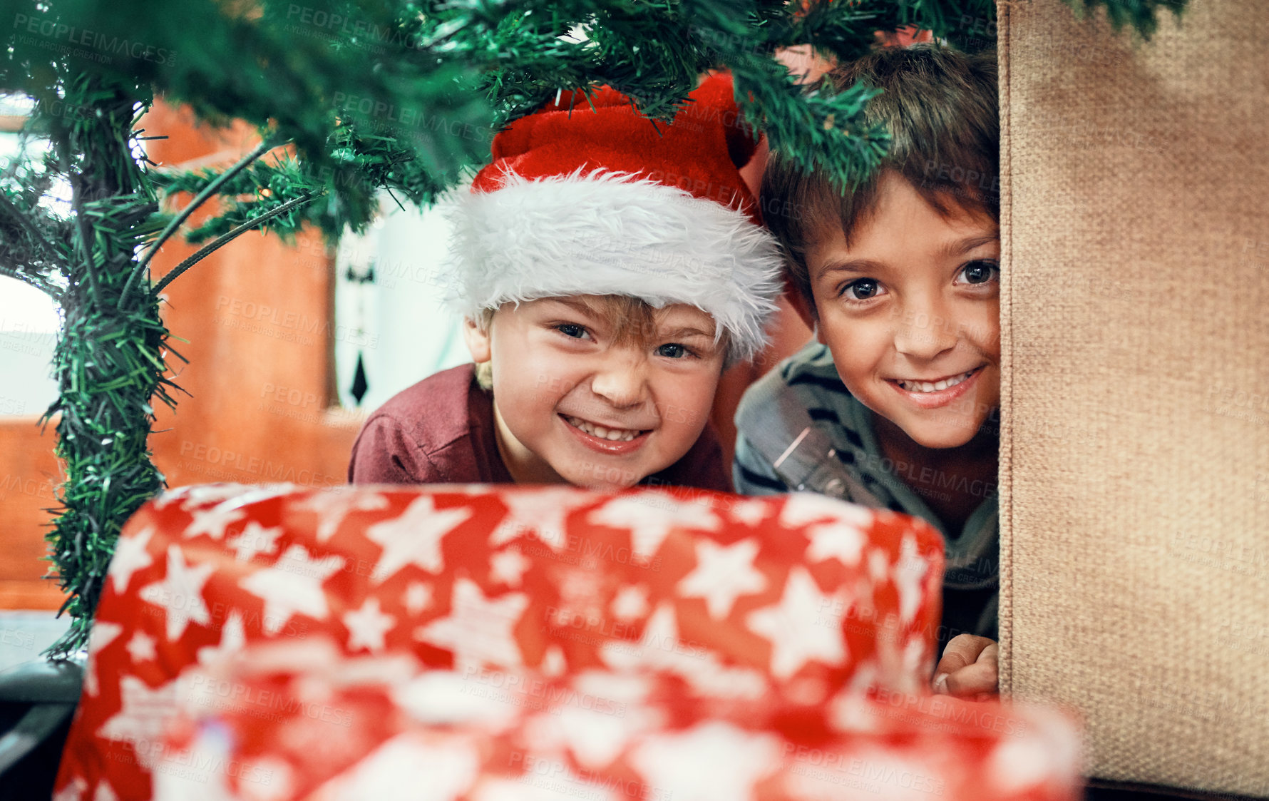 Buy stock photo Portrait of two adorable brothers playing under the Christmas tree at home