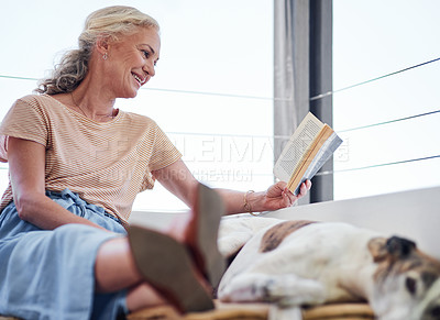 Buy stock photo Cropped shot of an attractive senior woman reading a book while relaxing on the balcony with her dog