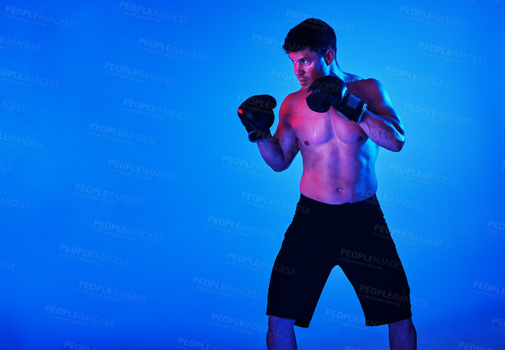 Buy stock photo Man, boxer and gloves in studio for fight, topless and ready with punch, match and sports by blue background. Person, athlete and strong with power, competition and martial arts with mock up space