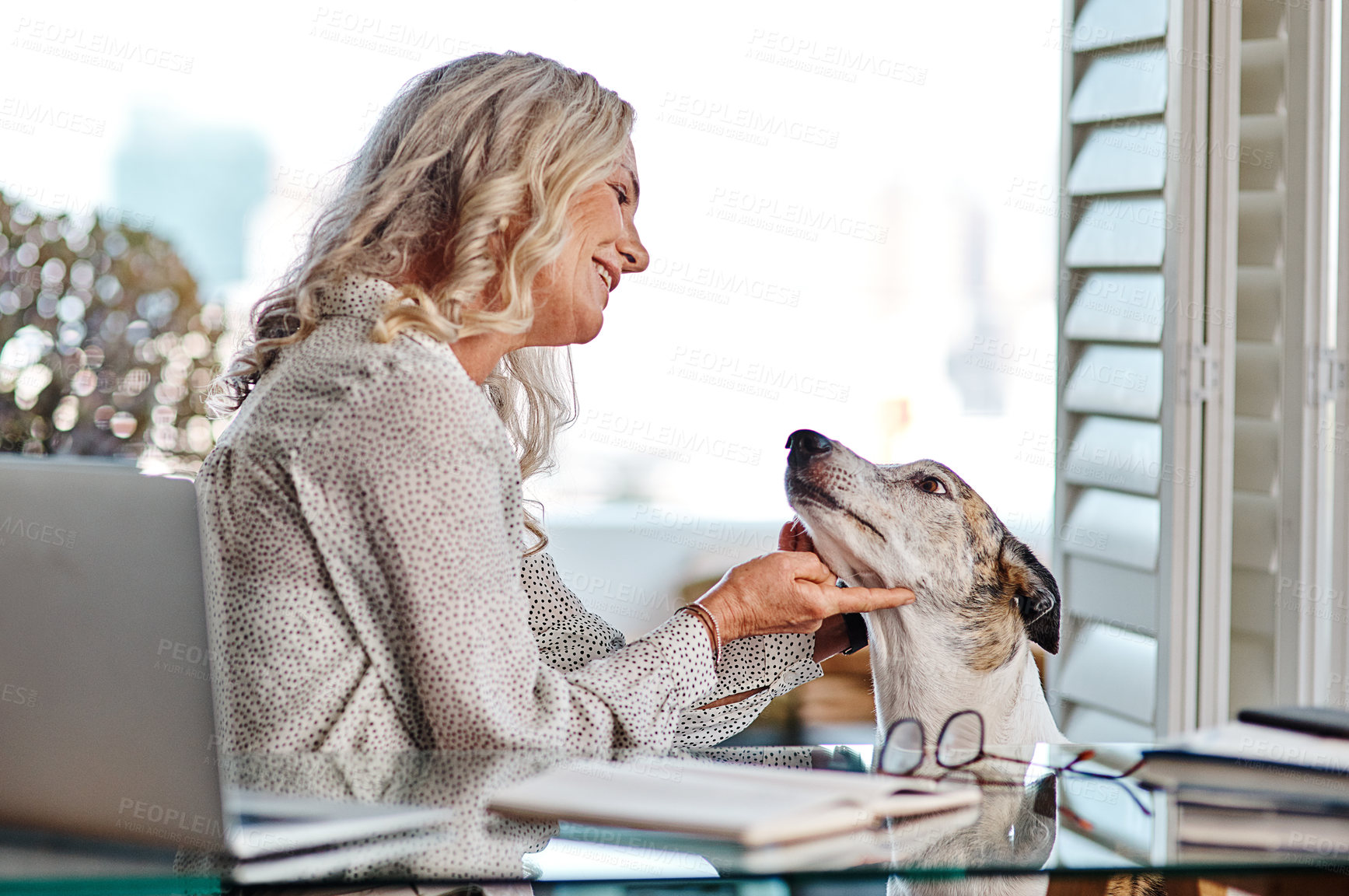 Buy stock photo Cropped shot of an attractive senior businesswoman playing with her dog while working from home
