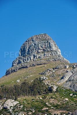 Buy stock photo Lions Head mountain with a blue sky and copy space. Beautiful below view of Rocky Mountain peak covered in lots of lush green vegetation at a popular tourism destination in Cape Town, South Africa