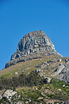 Lion's Head