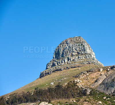 Buy stock photo Landscape of Lions Head mountain on a clear blue sky with copy space. Rocky mountain peak with rolling hills covered in grass trees and bushes near popular hiking location in Cape Town, South Africa