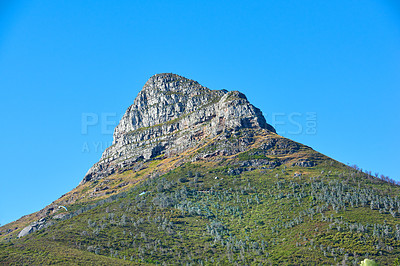 Buy stock photo Lions Head mountain with a blue sky and copy space. Beautiful below view of a rocky mountain peak covered in lots of lush green vegetation at a popular tourism destination in Cape Town, South Africa