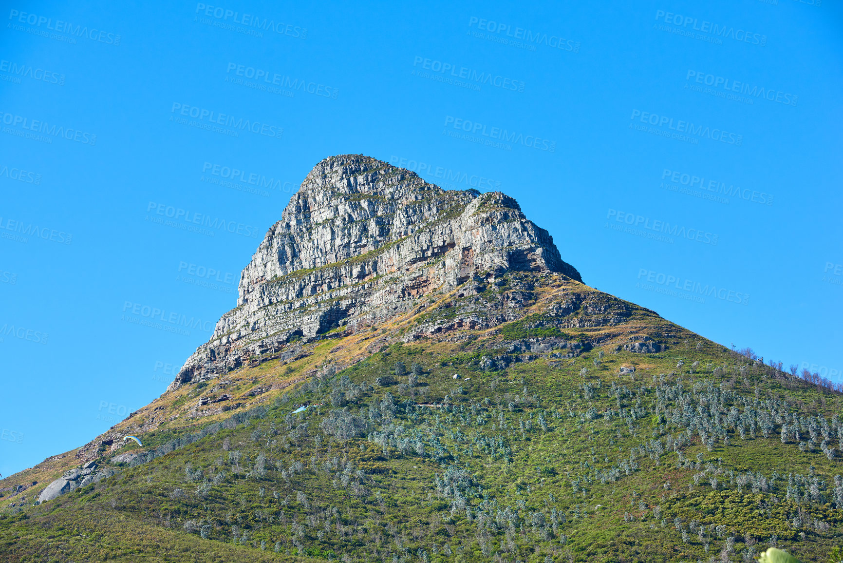 Buy stock photo Lions Head mountain with a blue sky and copy space. Beautiful below view of a rocky mountain peak covered in lots of lush green vegetation at a popular tourism destination in Cape Town, South Africa