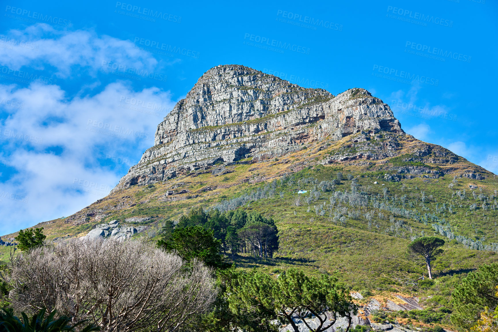 Buy stock photo Copy space with scenic landscape view of Lions Head mountain in Cape Town, South Africa against a blue sky background. Magnificent panoramic of a famous travel destination with lush trees and plants
