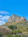 Lion's Head