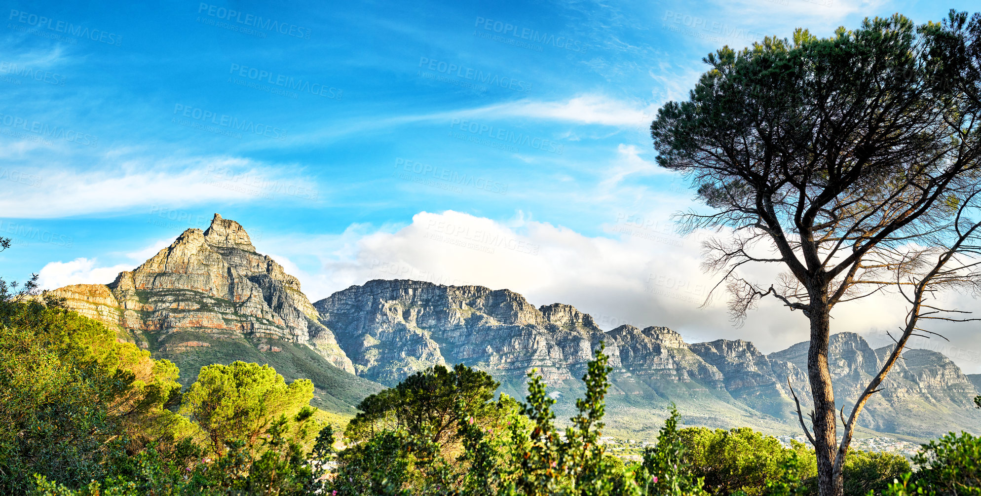 Buy stock photo Copy space with landscape of Table Mountain in Cape Town against a cloudy blue sky background. Beautiful scenic view of plants and trees around an iconic and famous landmark on a sunny day outdoors