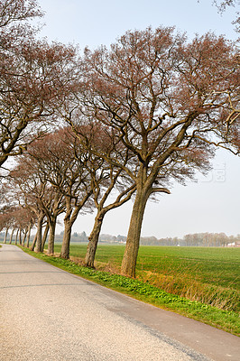 Buy stock photo A road lining an agricultural field in Denmark. An empty and secluded street along a farmland with greenery, crop and vegetation. Roadway on a vineyard or wine farm in a rural country area