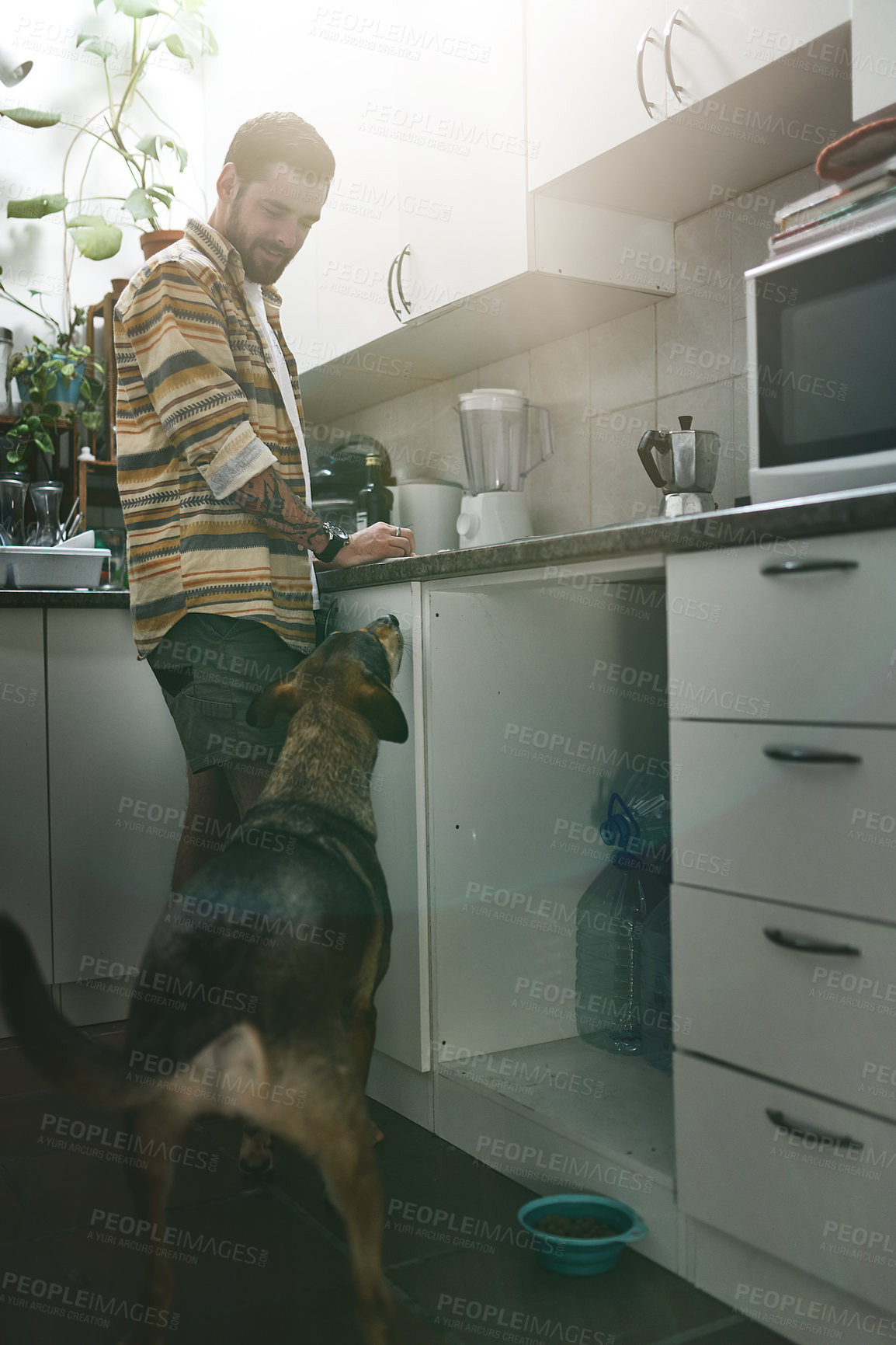 Buy stock photo Man, dog and cooking in kitchen in home with curiosity, protection and loyalty for companion. Animal, person and meal prep in apartment for nutrition, hungry or bonding together with pet for wellness