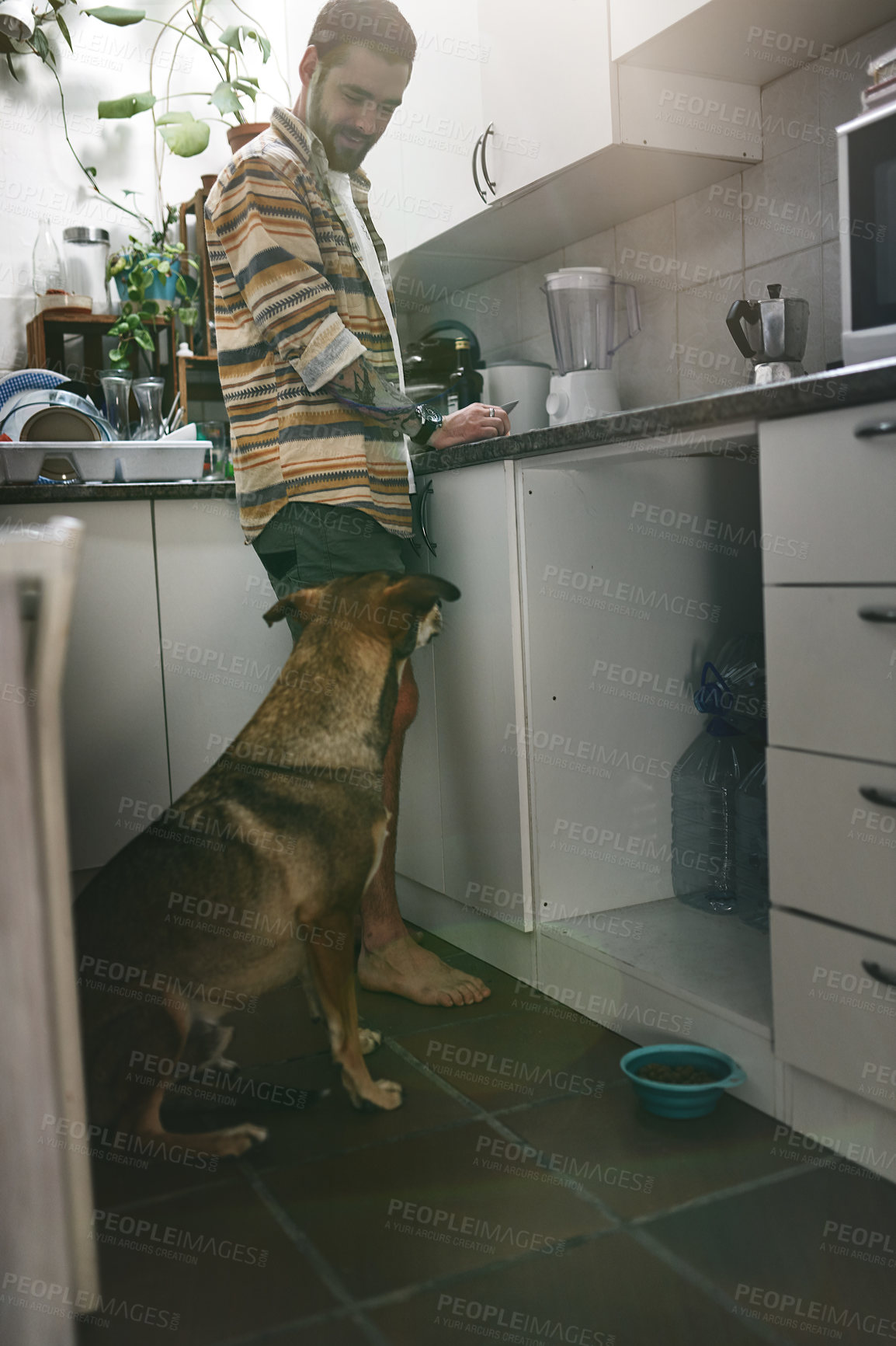 Buy stock photo Shot of a cheerful young man hanging out in the kitchen with his dog at home during the day