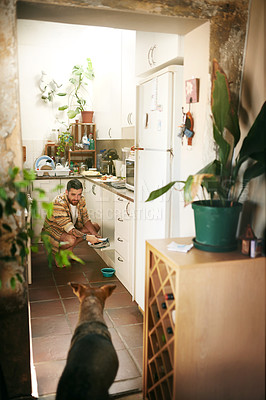 Buy stock photo Cropped shot of a cheerful young man calling his dog to eat his food inside of the kitchen during the day
