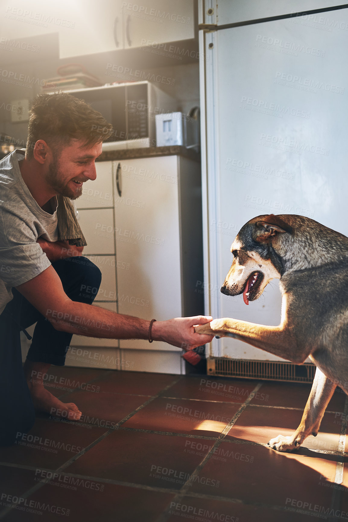 Buy stock photo Home, dog and man with handshake for care, connection and bonding together with training exercise. Kitchen, pet owner and animal paw with positive behavior for companion, friends and support by flare