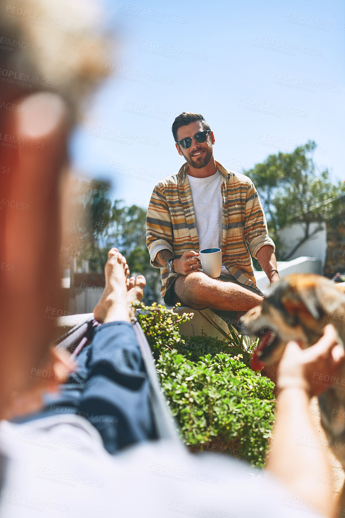 Buy stock photo Backyard, friends and men with dog for talking, conversation and social visit in apartment. Happy, relaxing and people in garden with pet for bonding, chatting and speaking to chill together outdoors