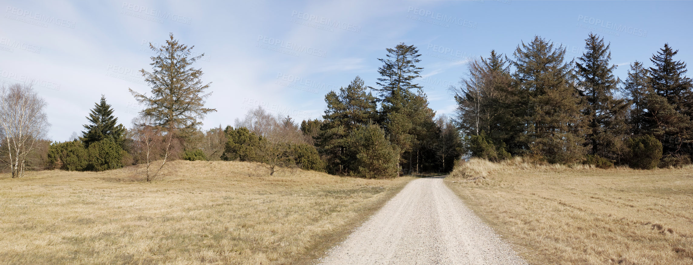 Buy stock photo Copyspace with a path winding through dry grassland in nature in Kattegat, Jutland, Denmark against a blue sky background. Scenic landscape of a gravel road leading to a forest in a plain open meadow