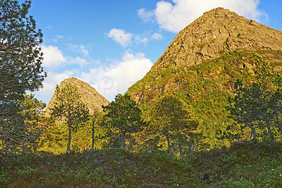 Buy stock photo Lush mountain with greenery, wild grass and trees against cloudy blue sky with copyspace. Peaceful landscape of empty woodland in Bodo, Norway. Quiet nature to explore on hiking adventure or travel