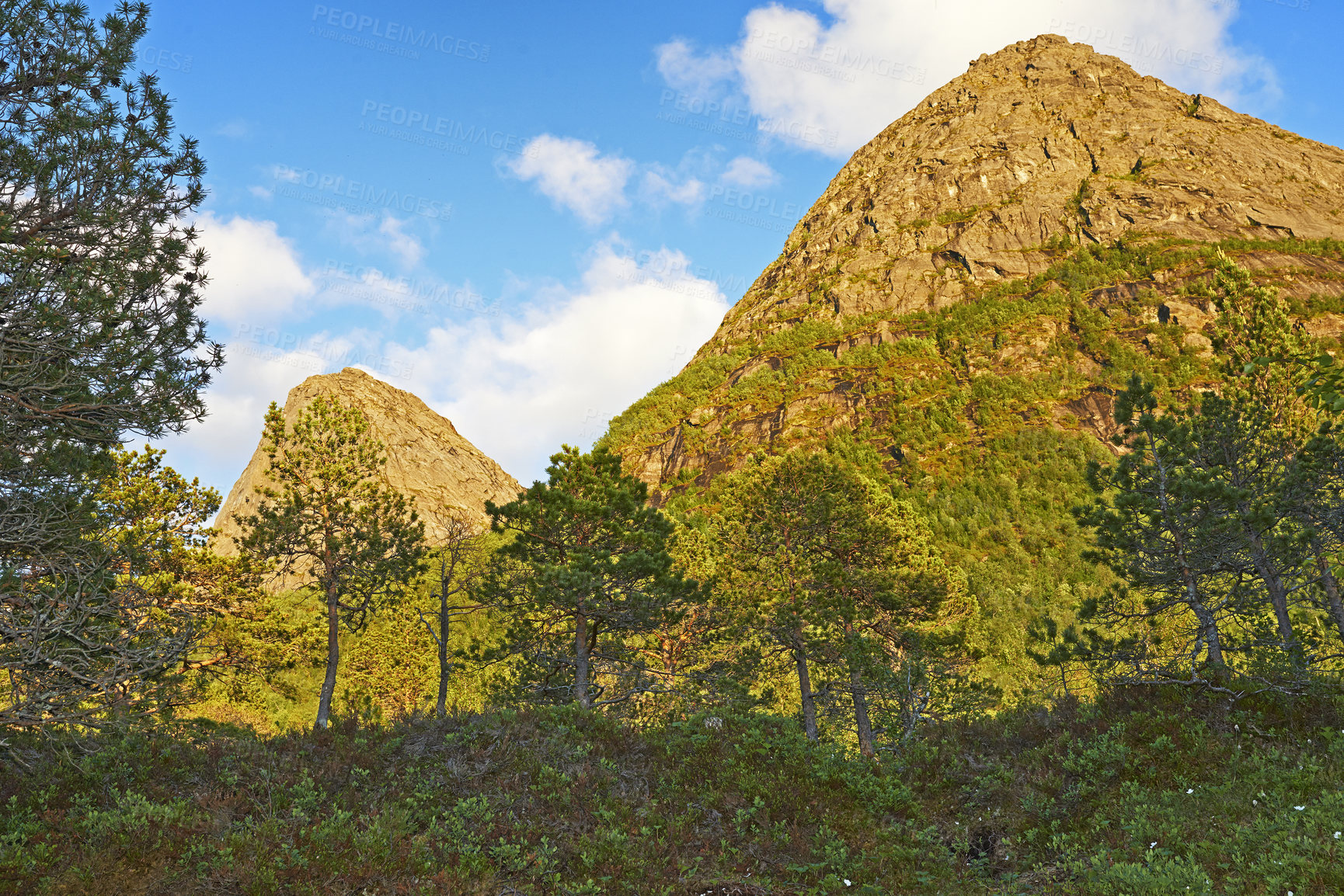 Buy stock photo Lush mountain with greenery, wild grass and trees against cloudy blue sky with copyspace. Peaceful landscape of empty woodland in Bodo, Norway. Quiet nature to explore on hiking adventure or travel