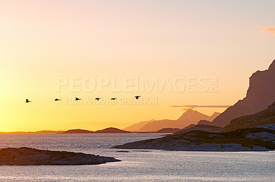 Buy stock photo Beautiful landscape of a mountain near the sea during sunset with copy space. Scenic view of the ocean with golden yellow sunlight at sunrise and copyspace. Peaceful coastal bay with birds flying