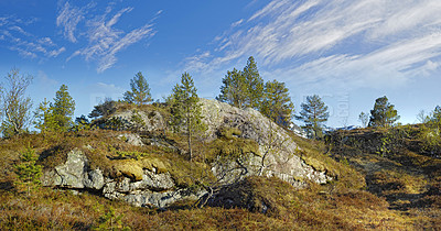 Buy stock photo Lush rocky wilderness with greenery of wild grass and trees for copy space background. Peaceful landscape of empty woodland in Bodo, Noway. Quiet nature to explore on walking adventure or travel