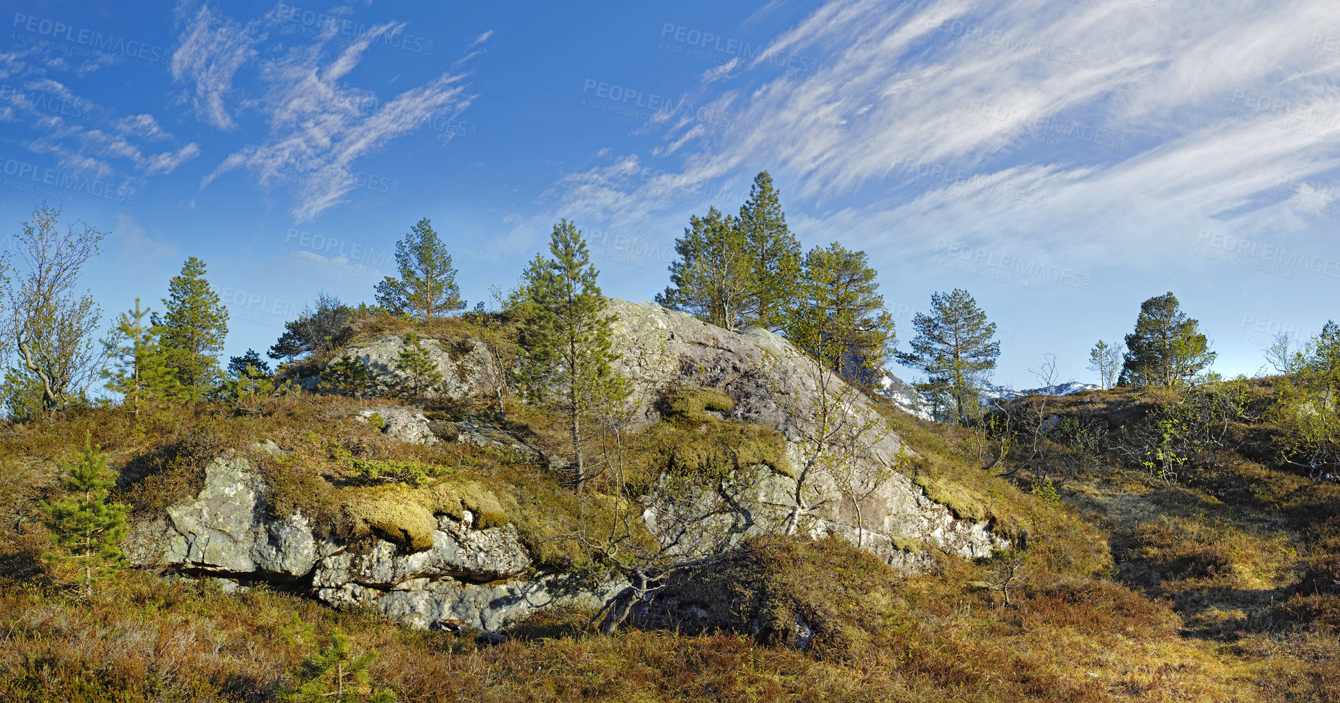 Buy stock photo Lush rocky wilderness with greenery of wild grass and trees for copy space background. Peaceful landscape of empty woodland in Bodo, Noway. Quiet nature to explore on walking adventure or travel