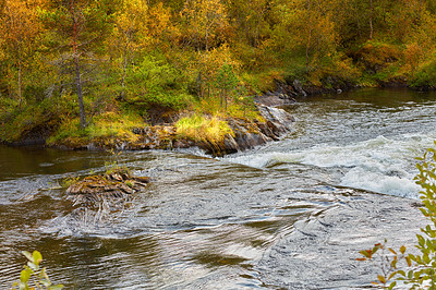 Buy stock photo Landscape of a river in an autumn forest on a sunny day outside. Green and orange foliage by the riverbank in Bodo, Norway. Peaceful nature and calm water near a vibrant wilderness with copy space