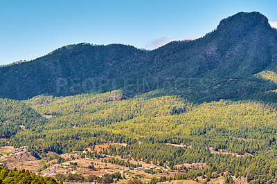 Buy stock photo Landscape of mountain pastures in the background of lush forest trees in Spain. City and mountain view of residential houses or buildings in serene hill valley in Santa Cruz, La Palma, Spain