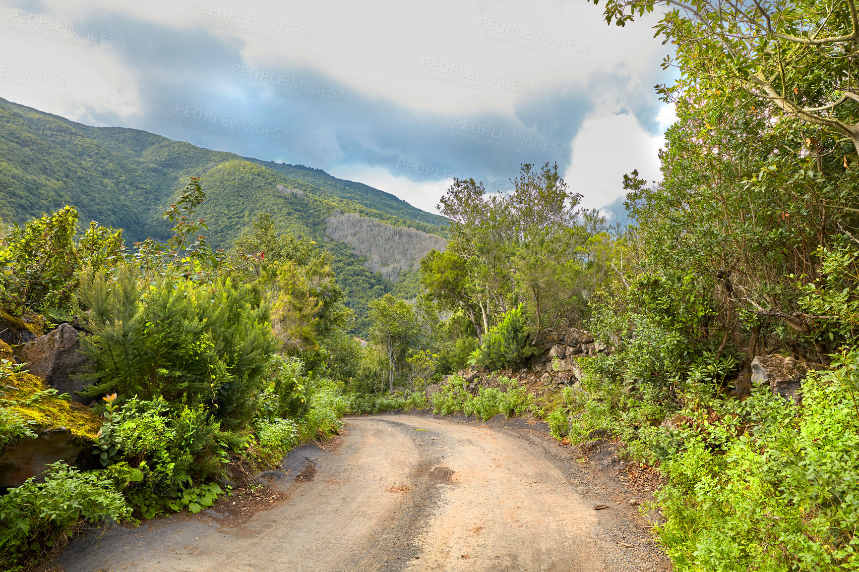 Buy stock photo Photo from the island of La Palma, Spain