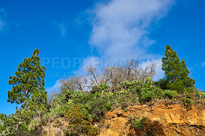 Buy stock photo Copy space with scenic landscape of a mountain on the island of La Palma, Canary islands, Spain against a cloudy blue sky background. Wild plants growing on a rocky hill and cliff in nature outdoors