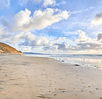 Late afternoon at Torrry Pine, San Diego