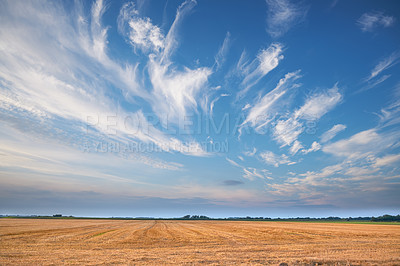 Buy stock photo a photo of natural summer clouds