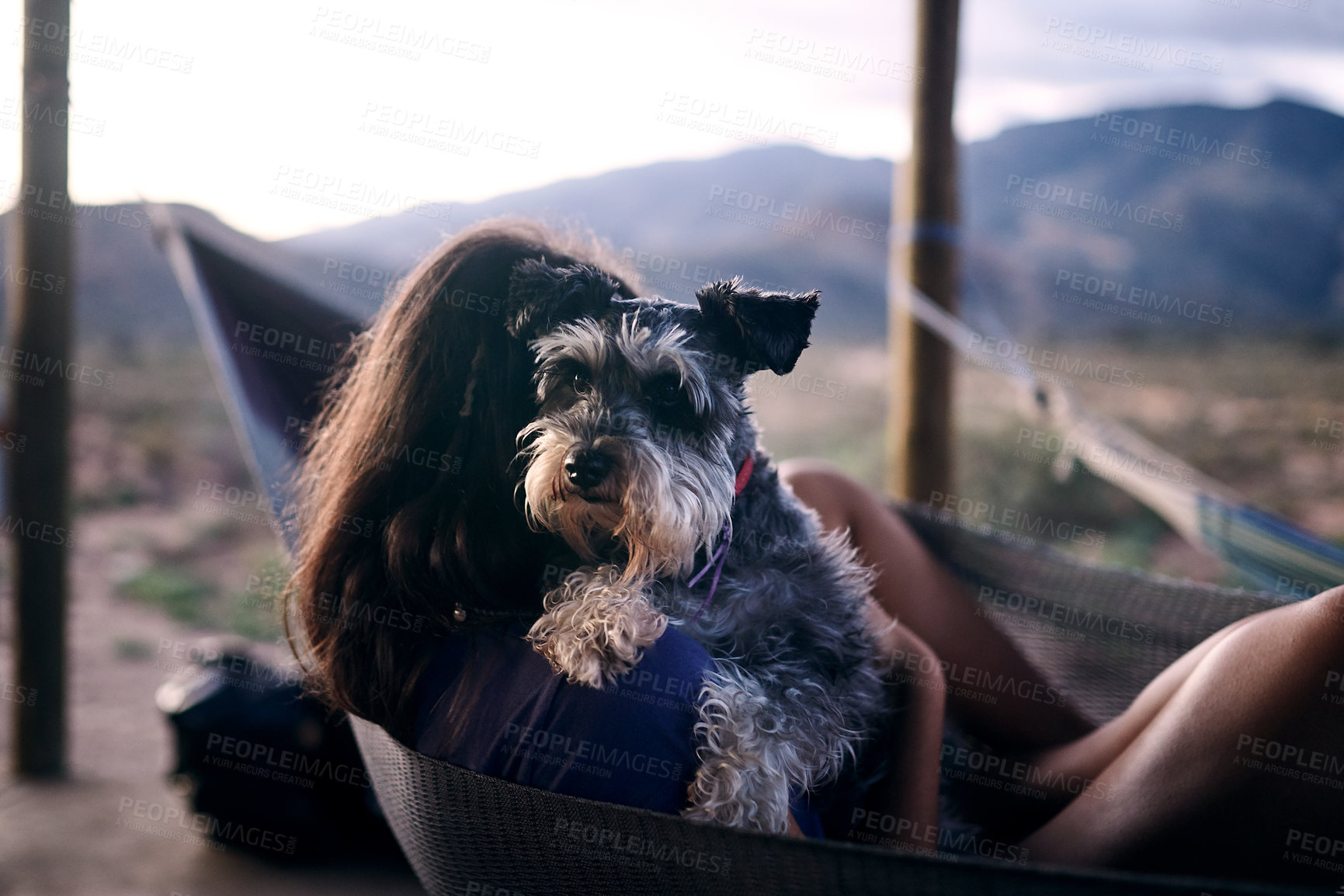 Buy stock photo Shot of a young woman relaxing with her adorable dog in a hammock