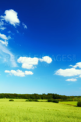Buy stock photo A  photo of the countryside at summertime