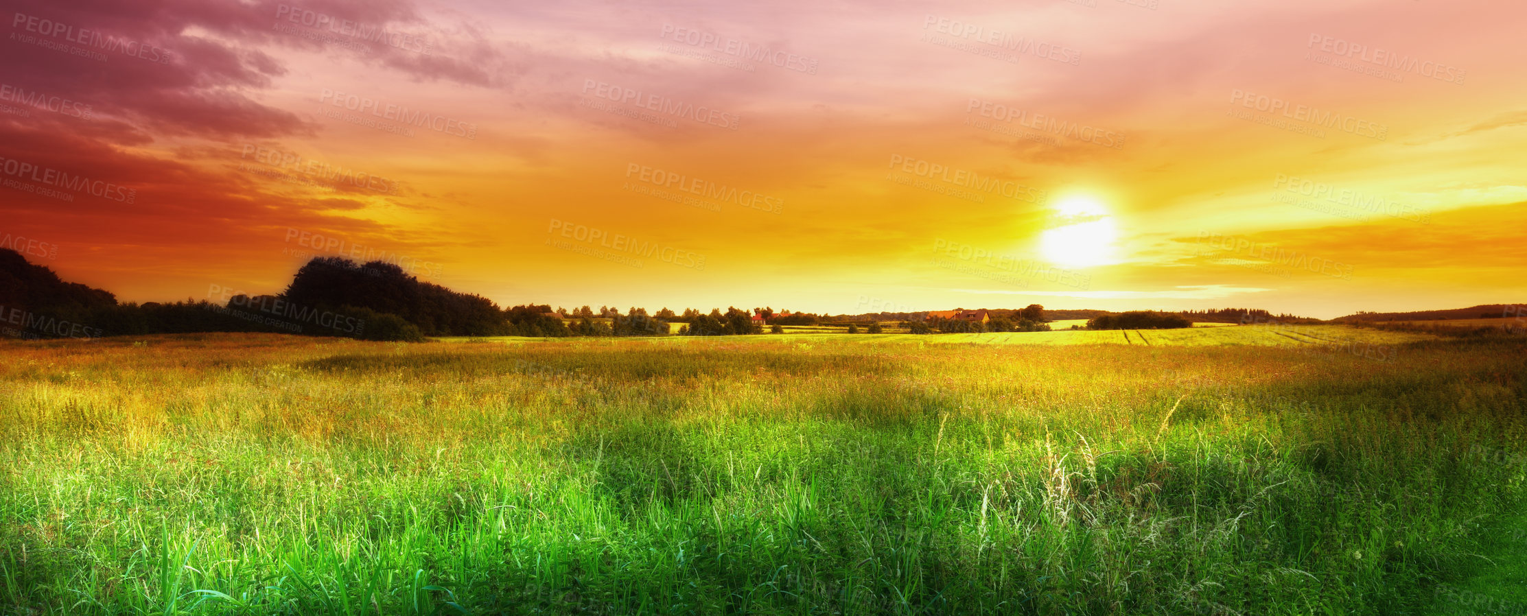 Buy stock photo Farmland ready for harvesting